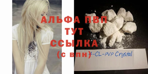 молекула духа Белоозёрский