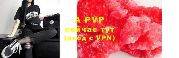 молекула духа Белоозёрский