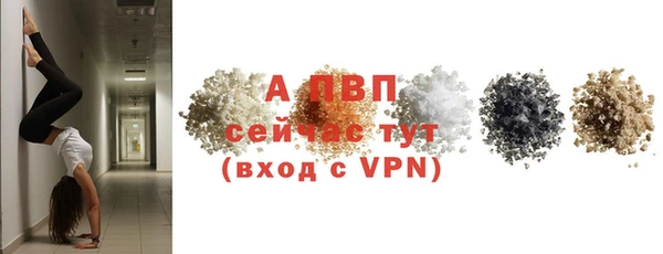 молекула духа Белоозёрский