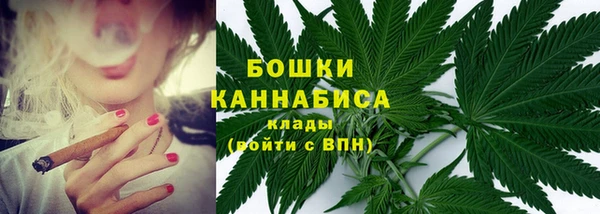 дурь Белокуриха