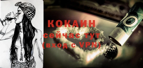 молекула духа Белоозёрский