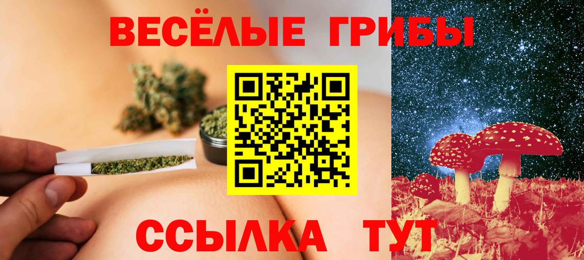 Анжеро-Судженск  Псилоцибиновые грибы Magic Shrooms  Псилоцибиновые грибы Magic Shrooms  Вход с VPN 