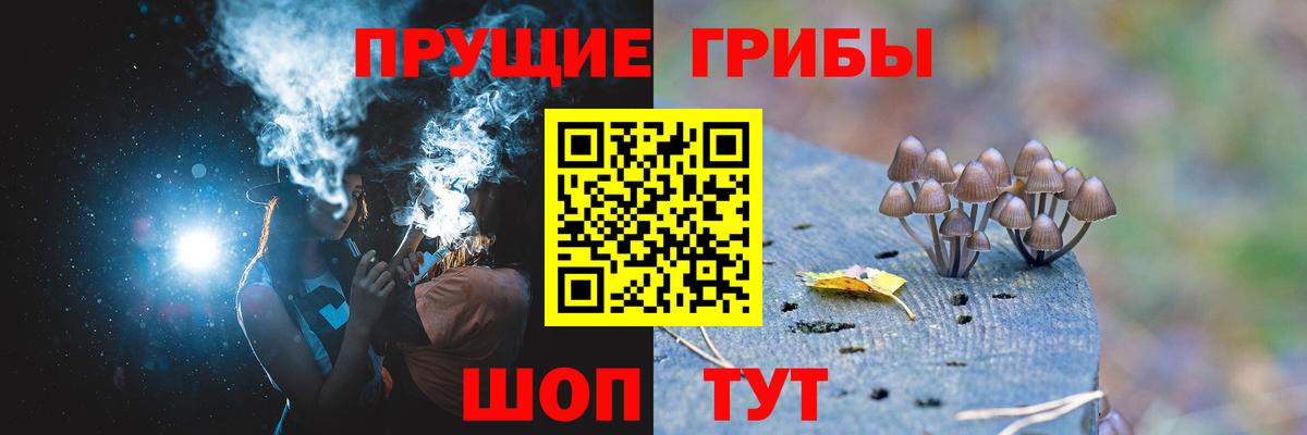 Галлюциногенные грибы GOLDEN TEACHER  Анжеро-Судженск  Галлюциногенные грибы Psilocybine cubensis 